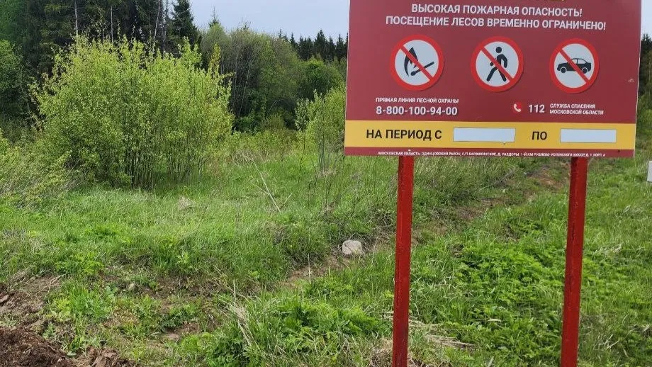 Фото: медиасток.рф