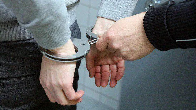 Полицейские задержали нашумевших живодеров из Реутова