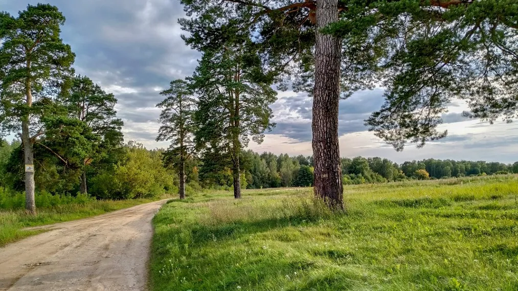 Фото: unsplash.com