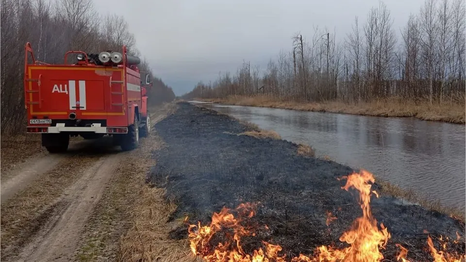 Фото: t.me/mosoblcomles