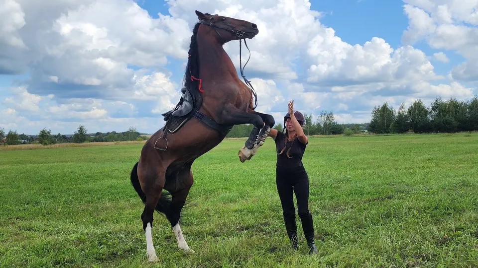 Фото: МедиаБанк Подмосковья/Станислав Орлов