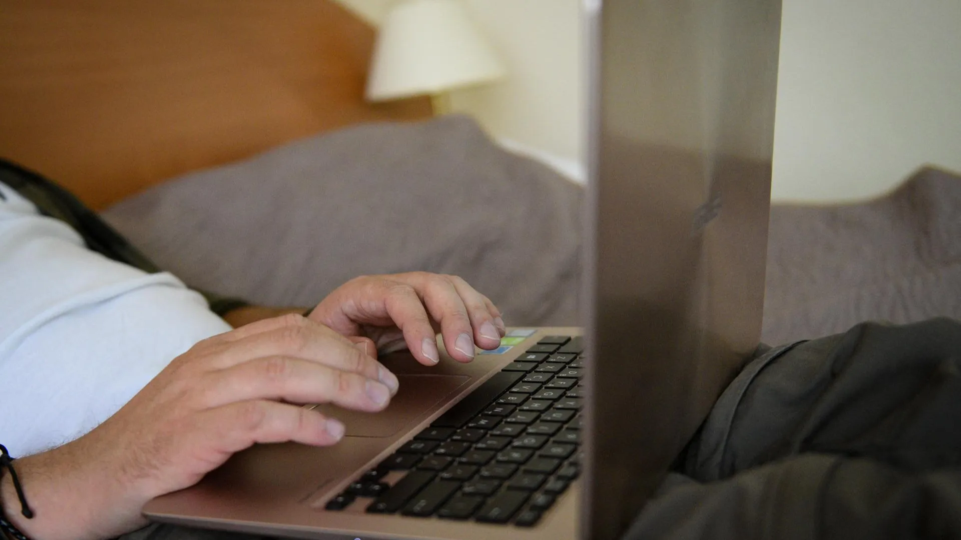 В России предложили ограничить доступ к «Википедии» и развивать ее отечественный аналог