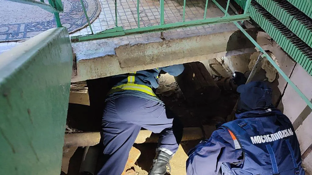 Фото: ГКУ МО «Мособлпожспас»