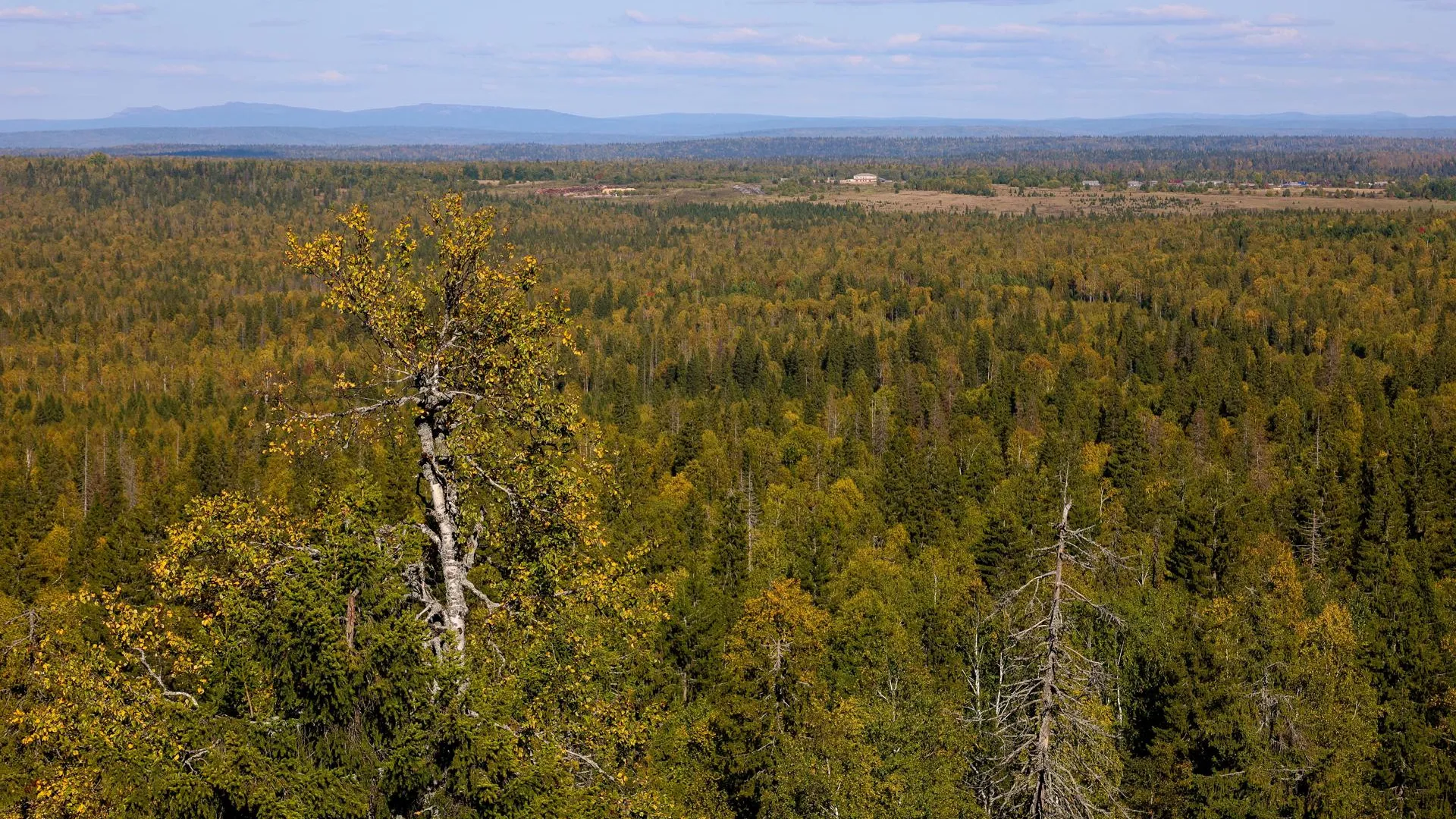 Elena Mayorova/Global Look Press