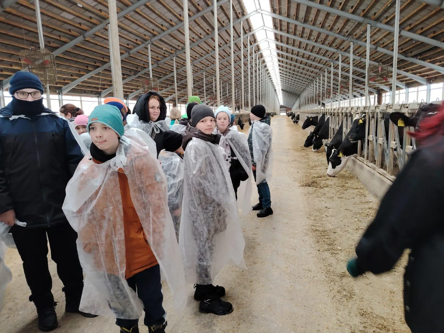 Фото: пресс-служба администрации Наро-Фоминского г.о.