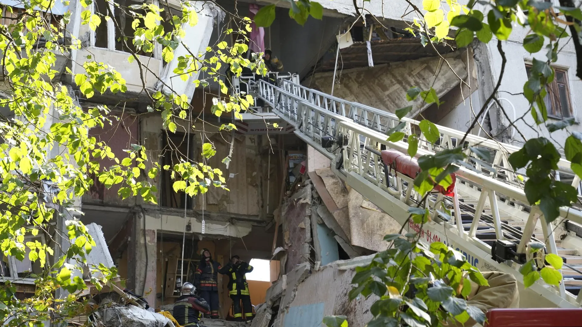 пресс-служба губернатора и правительства Московской области