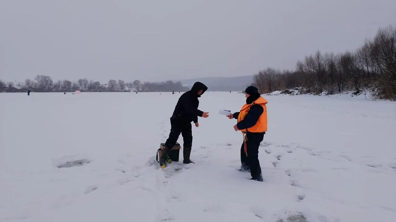 Фото: пресс-служба администрации г. о.Кашира