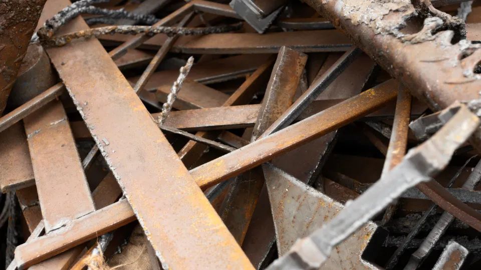 Фото: freepik.com