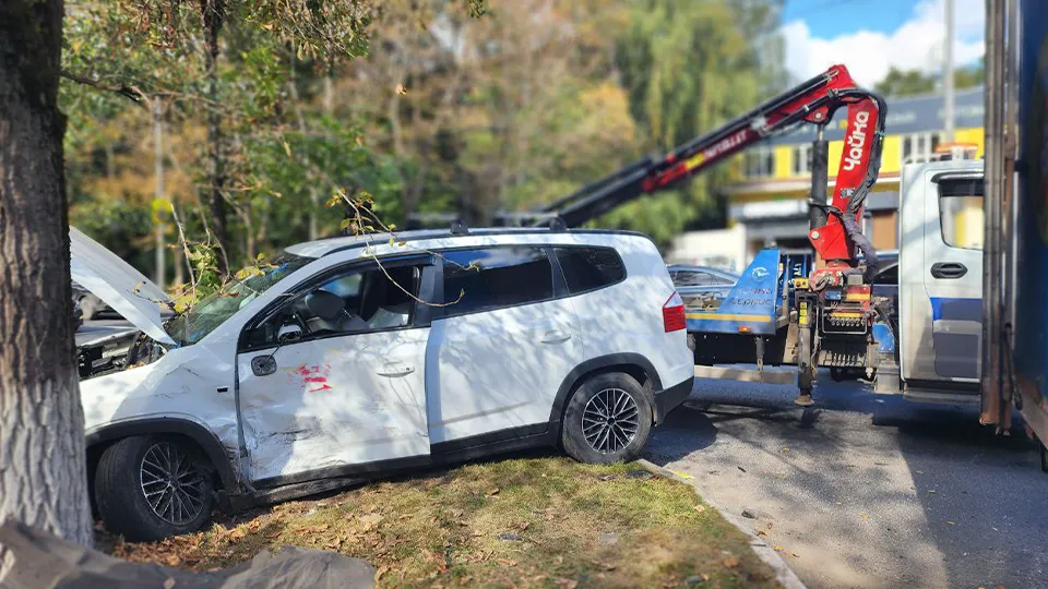 Фото: МедиаБанк Подмосковья/Роман Савельев