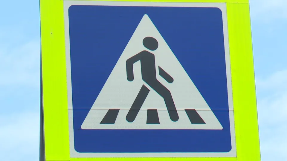 Фото: МедиаБанк Подмосковья/Ксения Казакова