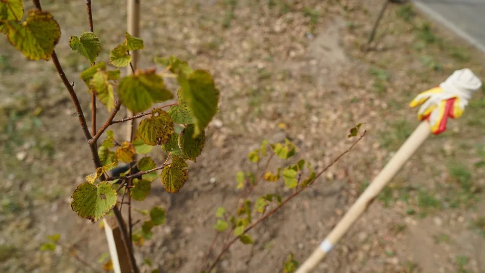 Фото: пресс-служба Администрации г.о. Воскресенск