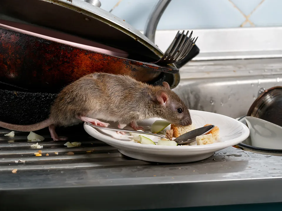 Фото: istockphoto.com