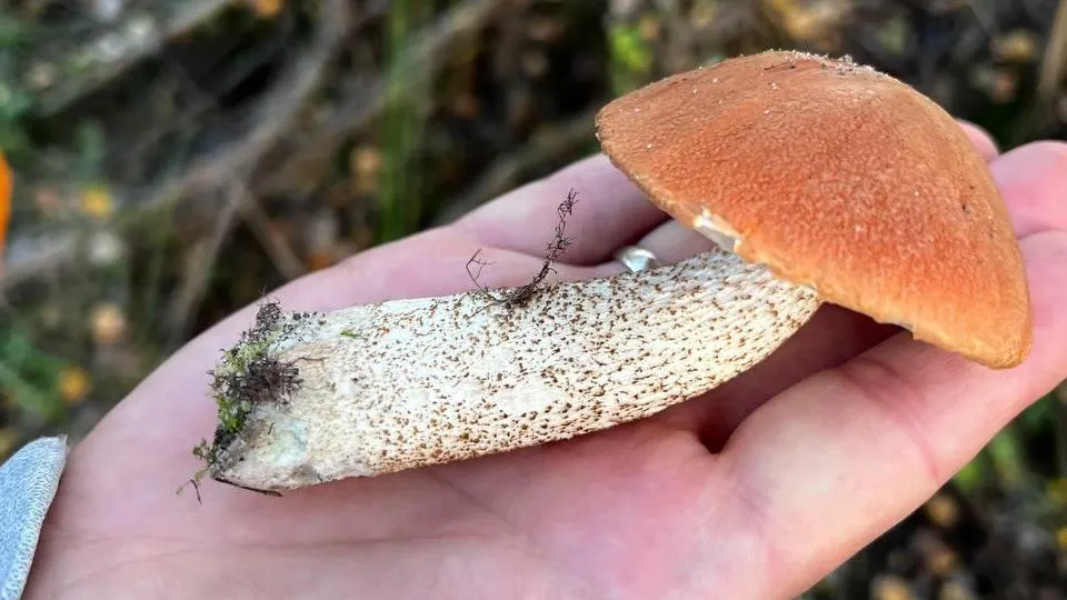 Фото: Анна Мороз