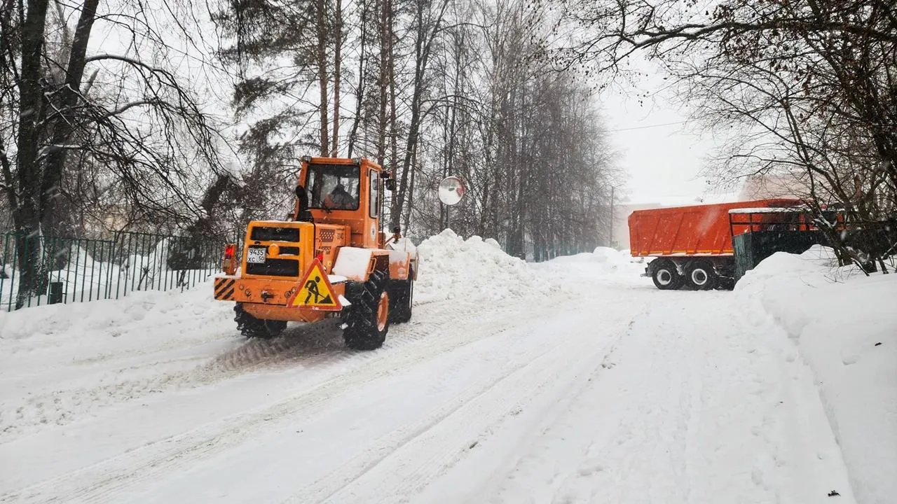 REGIONS/Мария Панина