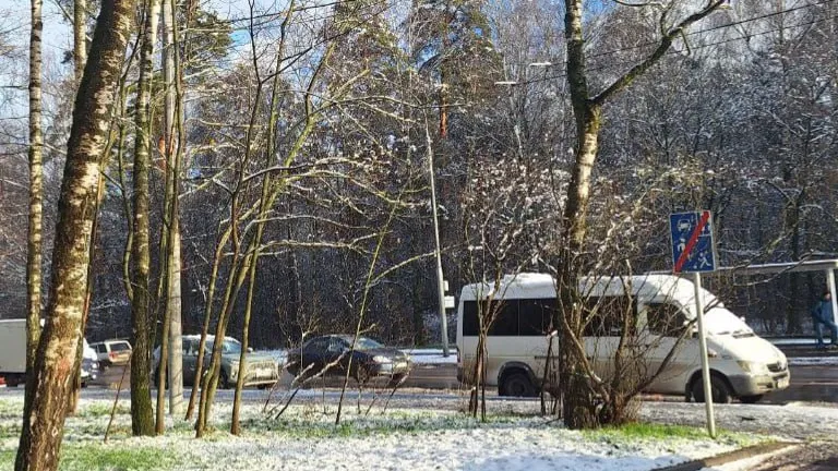 Фото: REGIONS/Катерина Антохина