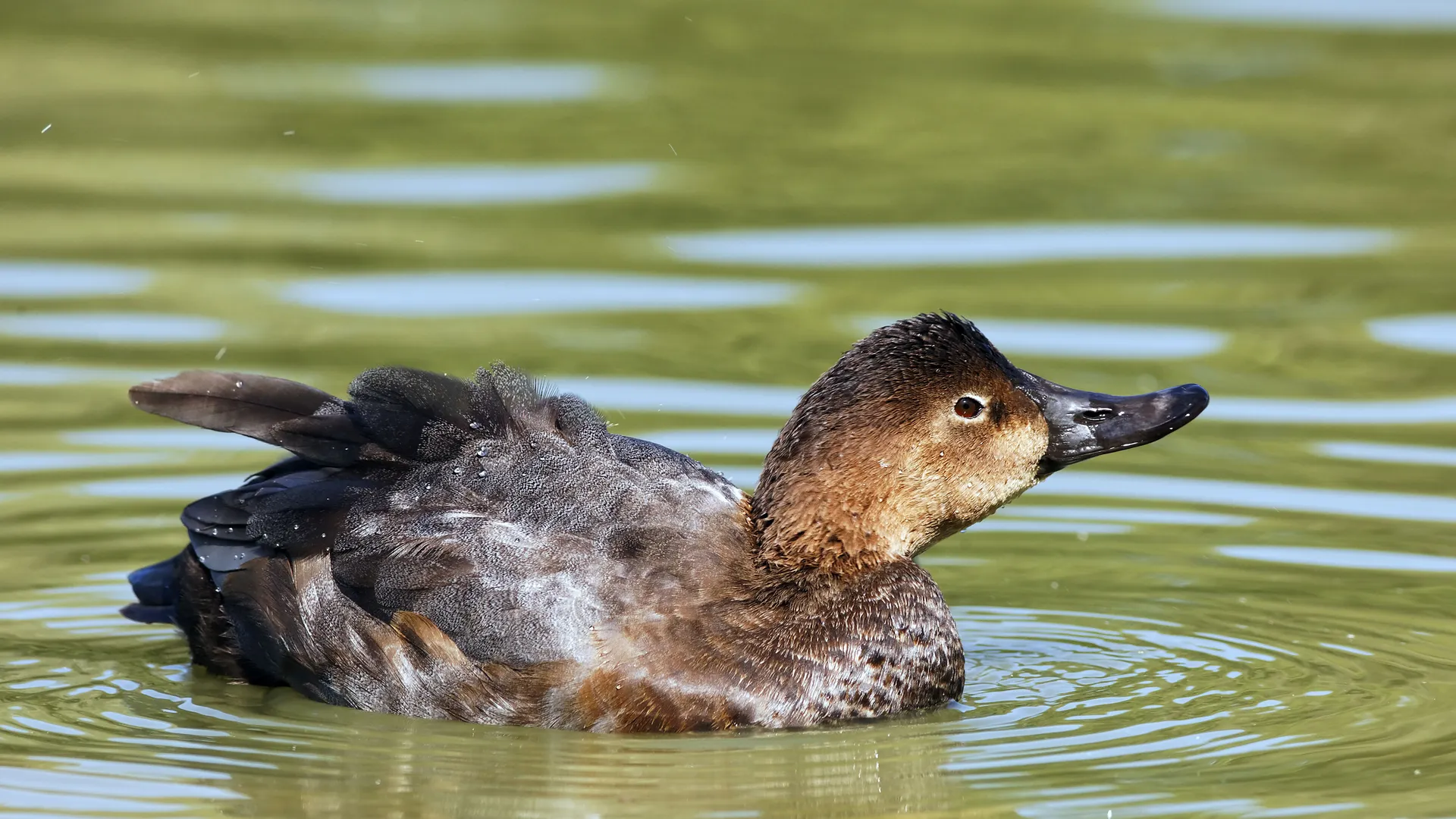 Фото: ru.freepik.com