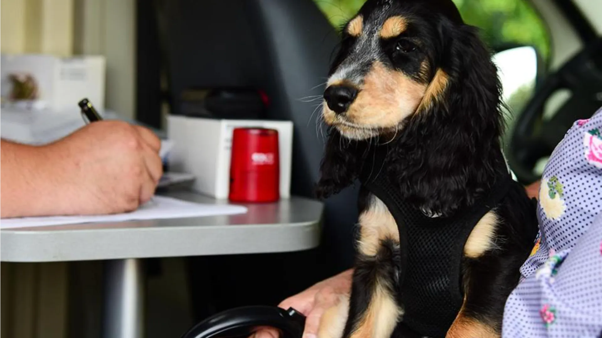 Фото: Министерство сельского хозяйства и продовольствия Московской области