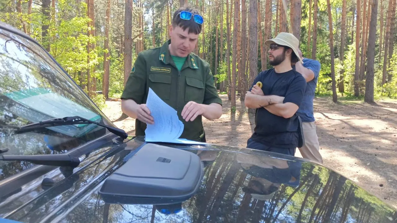 Фото: Комитет лесного хозяйства Московской области