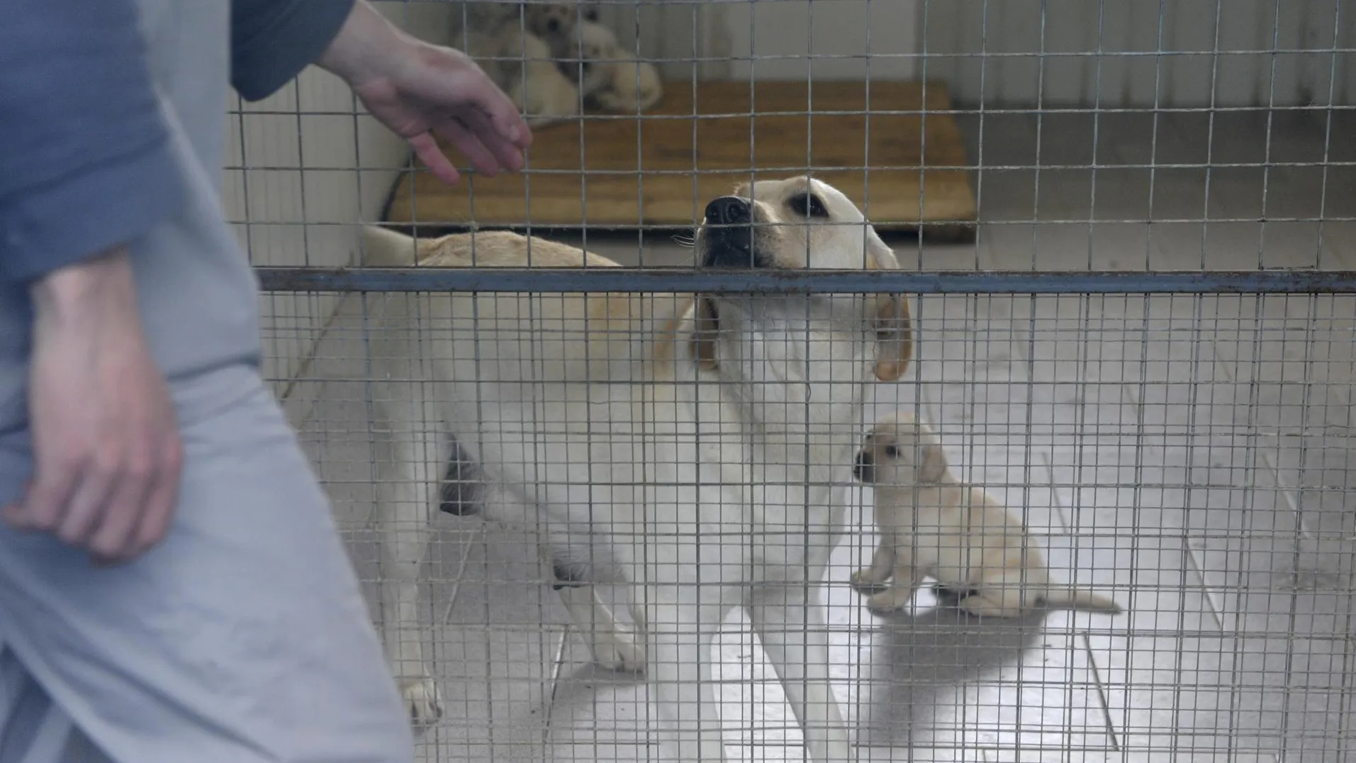 медиасток.рф