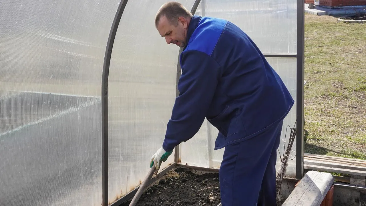 istockphoto.com/Liubov Polozhentseva