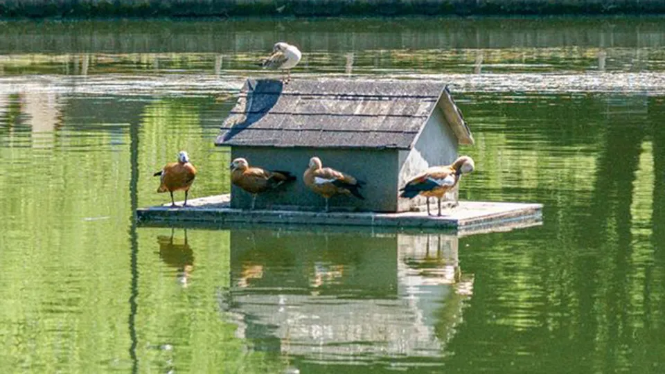 Фото: медиасток.рф