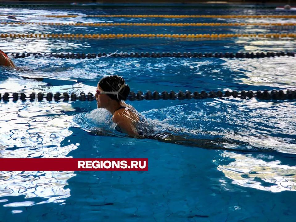 Фото: Светлана Плотникова