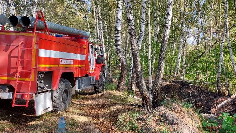 Фото: t.me/mosoblcomles