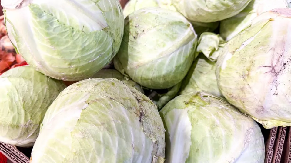 Фото: REGIONS/Владимир Ерастов