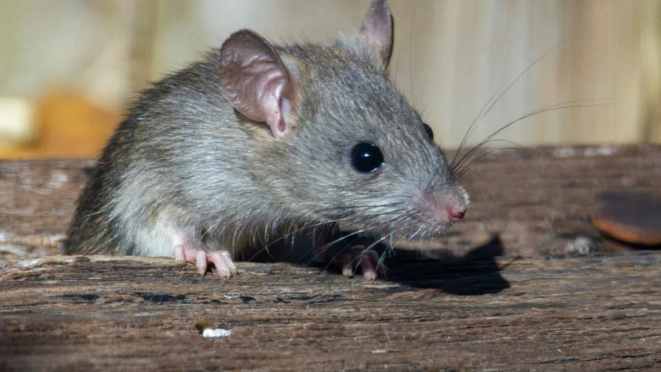 Фото: unsplash.com