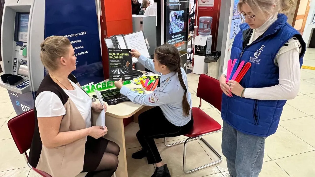 Источник фото: МФЦ г.о. Домодедово