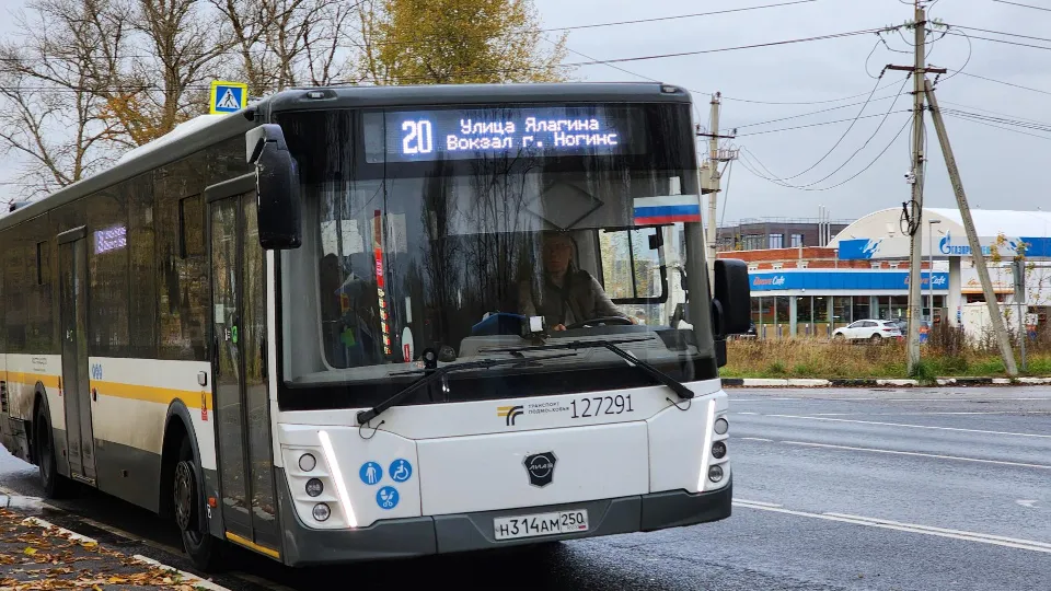 Фото: REGIONS/Ольга Аввакумова