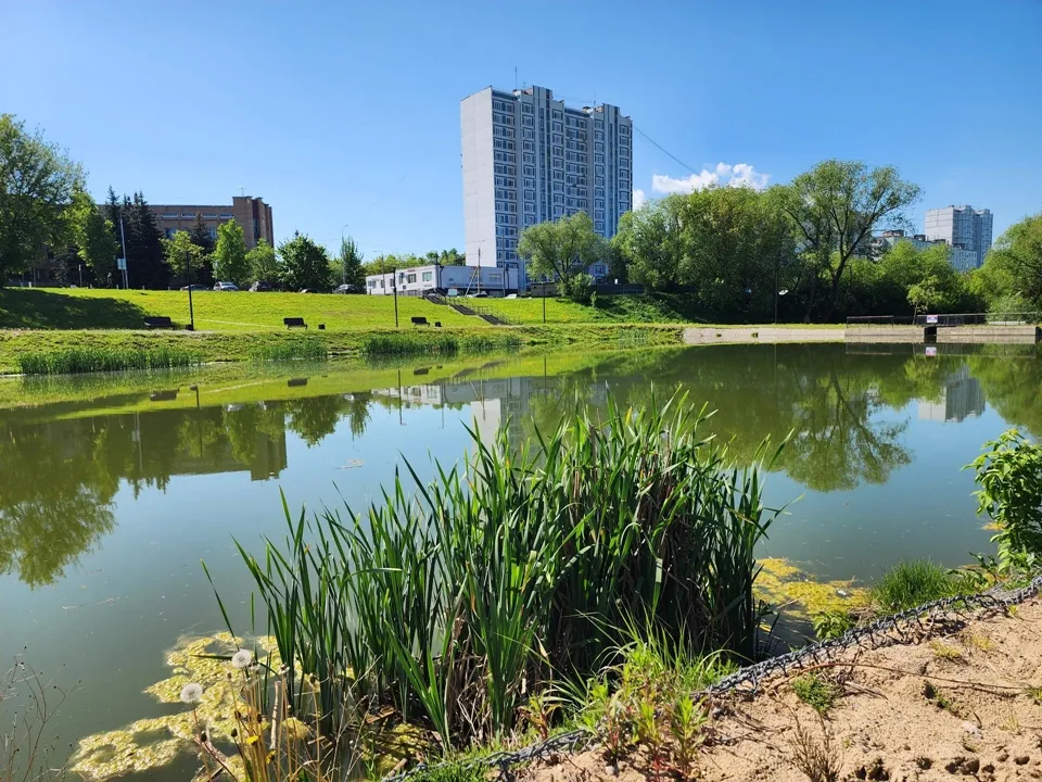 Фото: REGIONS/Валерий Гореловский