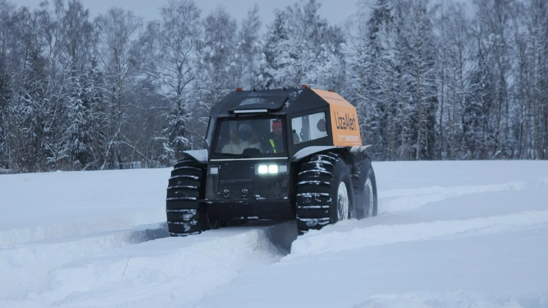 Дмитрий Беденко