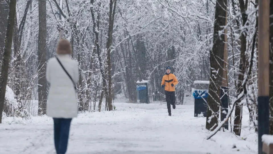 Фото: медиасток.рф