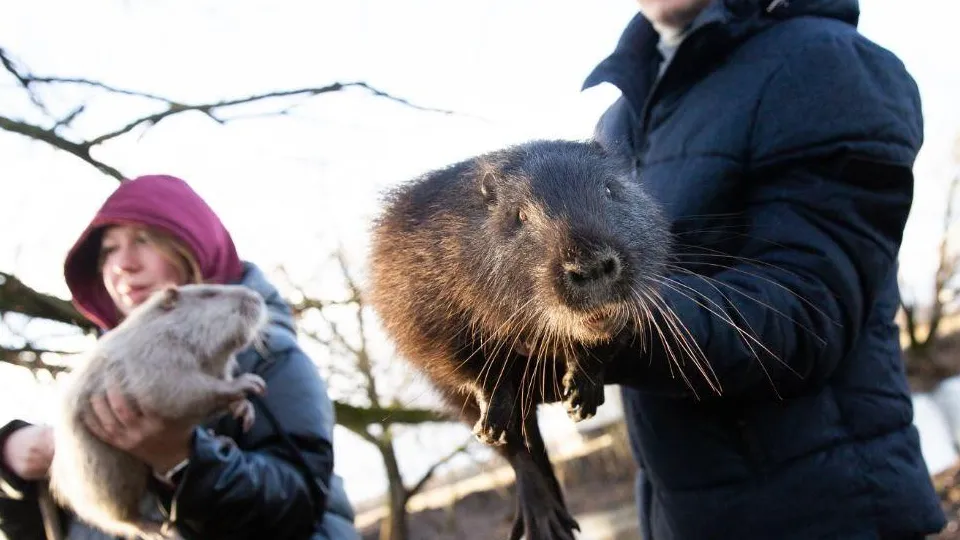 Фото: Администрация городского округа Люберцы