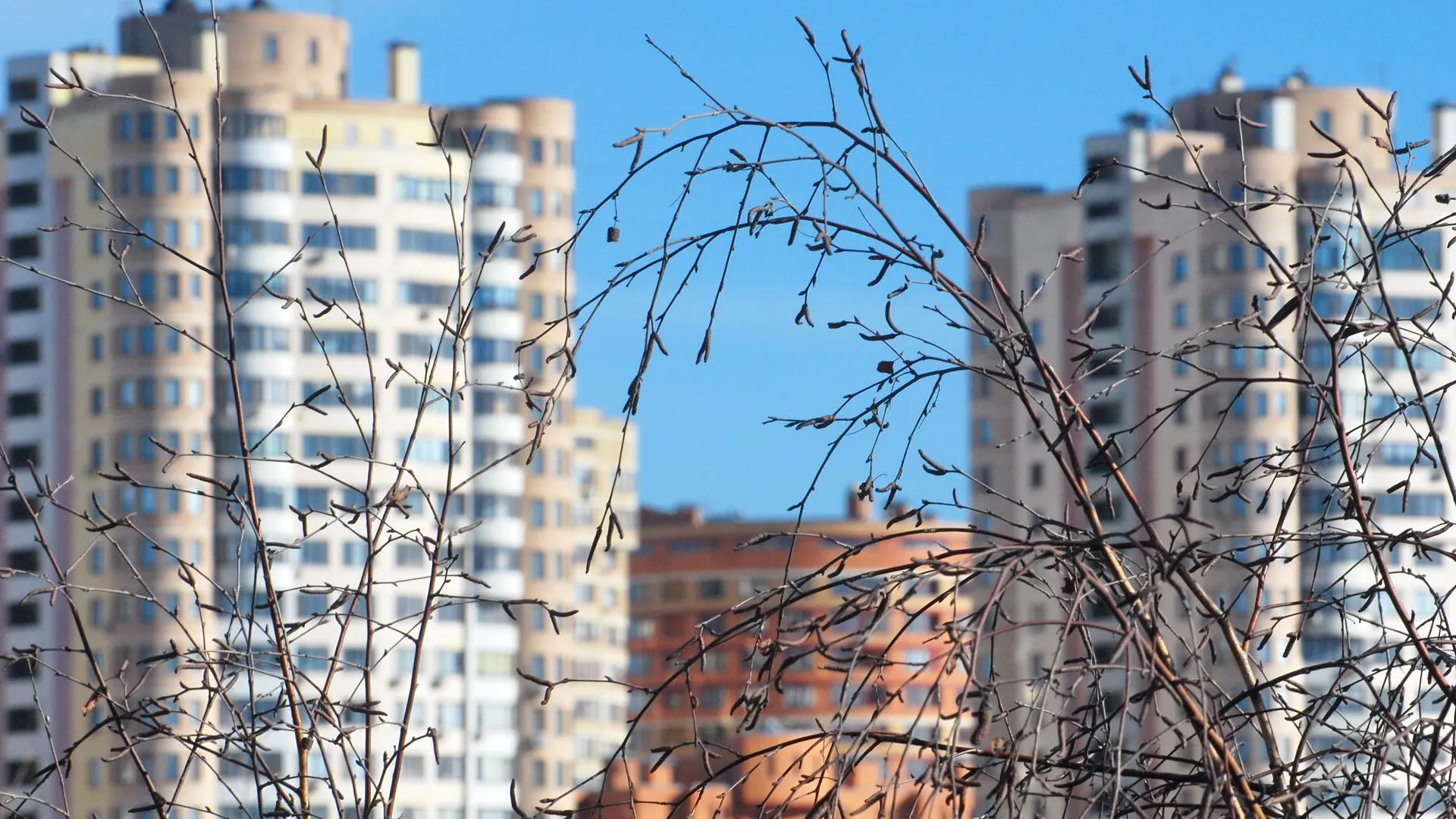 REGIONS/Александр Легкий