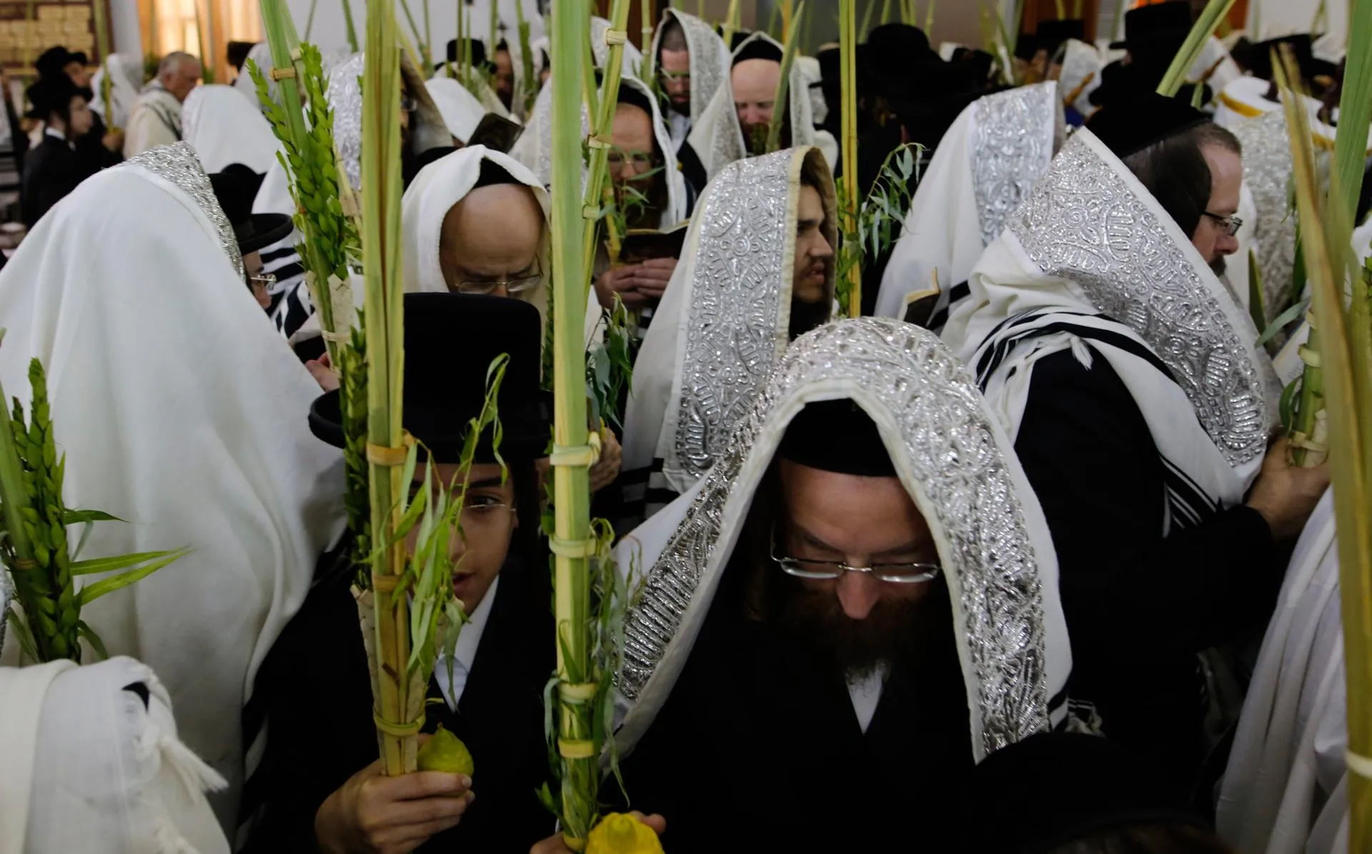 Gil Cohen Magen/Xinhua