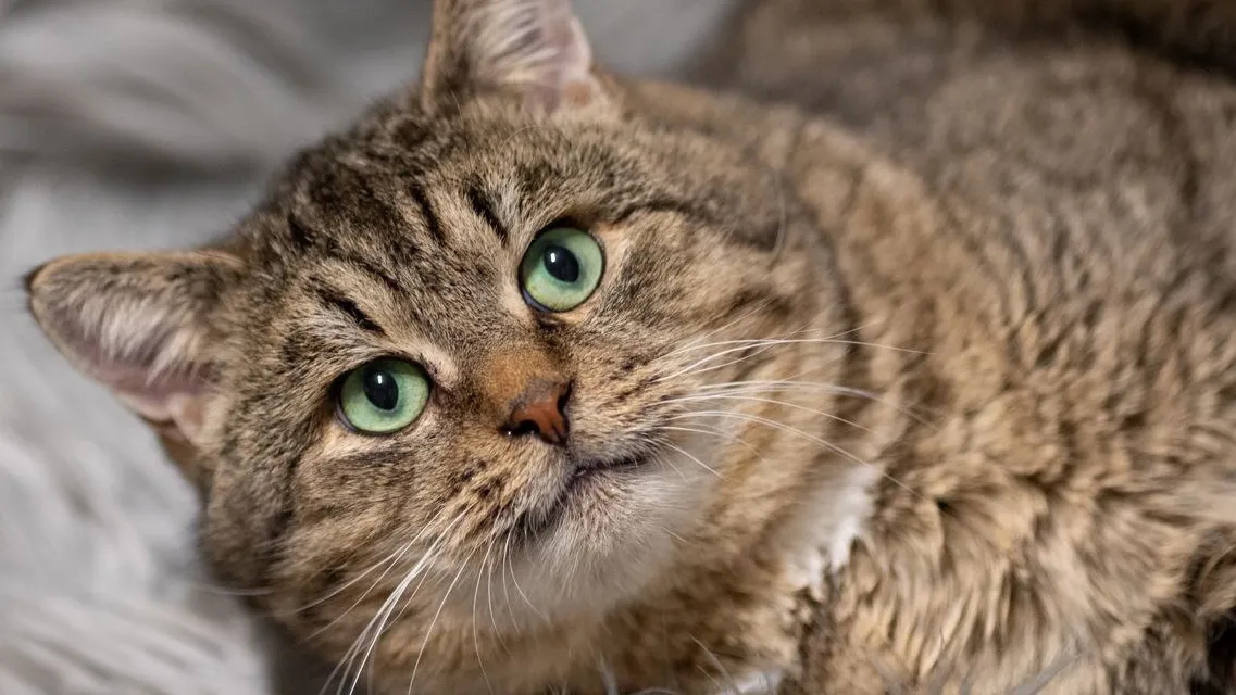 Фото: Анна Быкова