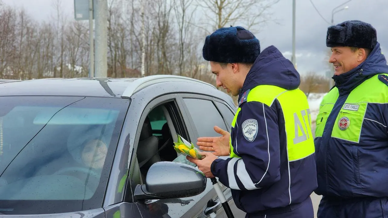 МедиаБанк Подмосковья/Екатерина Данилина