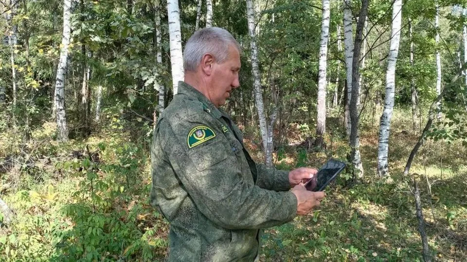 Фото: Комитет лесного хозяйства Московской области