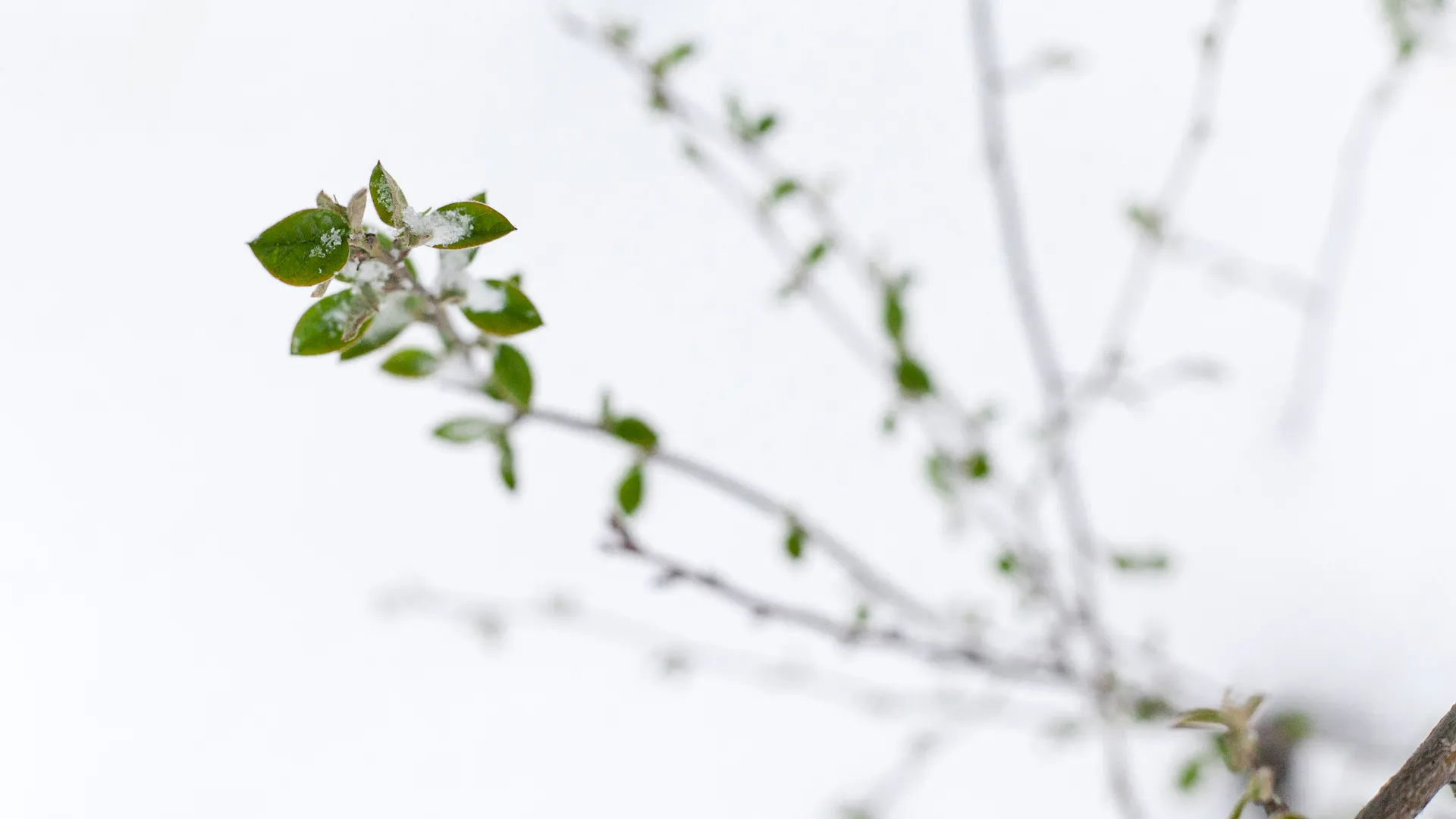 Весна в городе Дзержинский