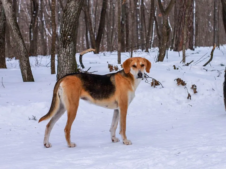 Фото: REGIONS/Эльвира Сафина