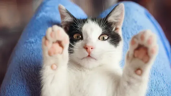 Фото: Freepik.com