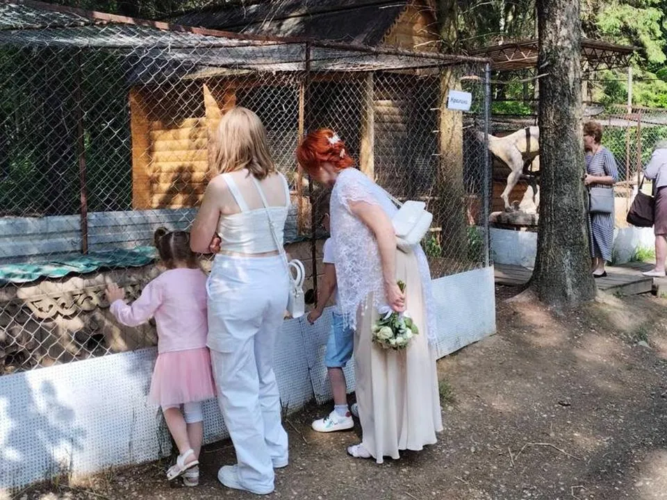 «У кроликов не было ни травинки»: москвичка возмутилась содержанием животных в мытищинском кустарном зоопарке