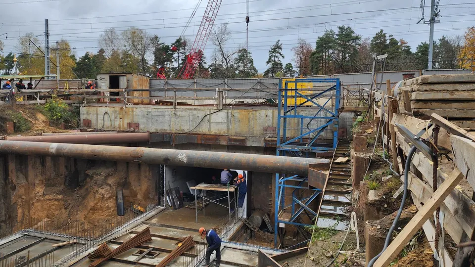 Фото: МедиаБанк Подмосковья/Ирина Моисеева