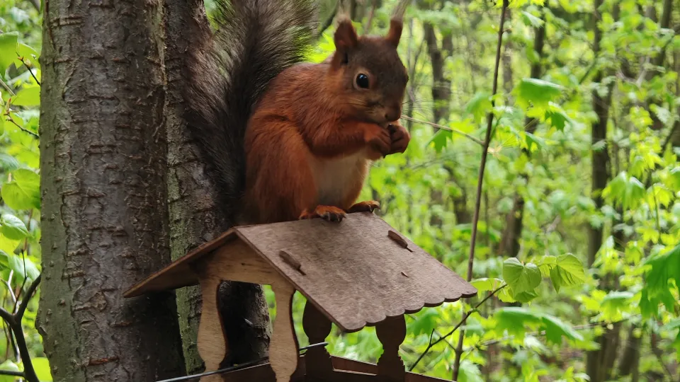 Фото: REGIONS/Юлия Габбасова