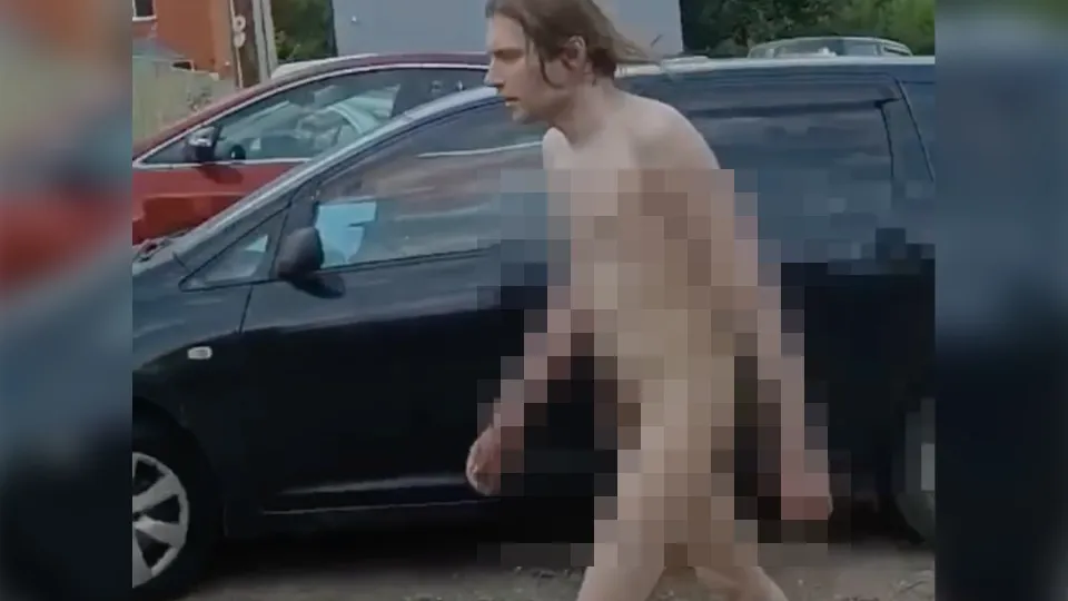 Фото: t.me/dmitrov_gorod