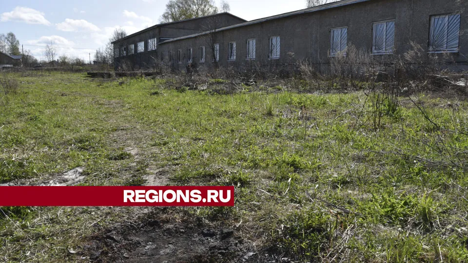 Фото: Владимир Останин