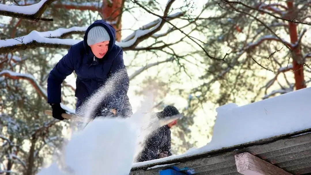 REGIONS/Полина Пахомова