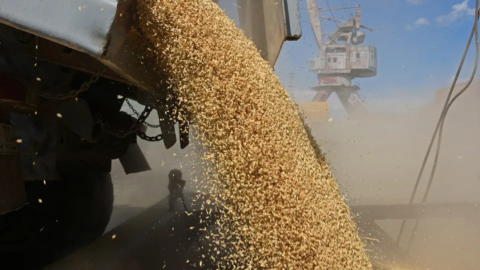 Фото: ТАСС/Дмитрий Дадонкин